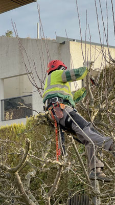  Eberhard Gartenbau AG Kloten