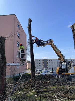 Eberhard Gartenbau AG Kloten