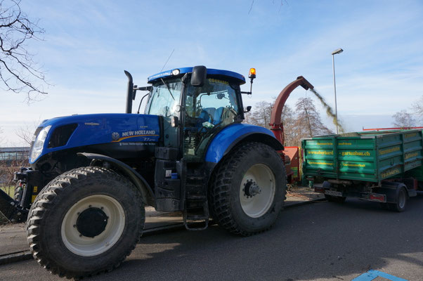 Eberhard Gartenbau AG Kloten, Schnittgut häckseln mit unserem Traktor