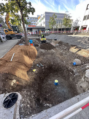Eberhard Gartenbau AG Kloten, Leitungsbau, Brunnenschächte versetzen 