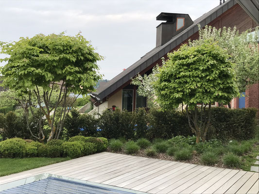  Eberhard Gartenbau AG Kloten