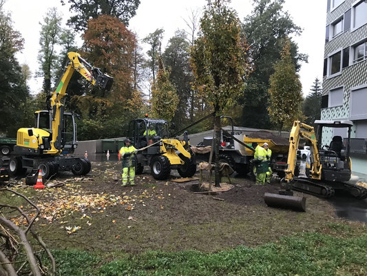 Eberhard Gartenbau AG Kloten, 