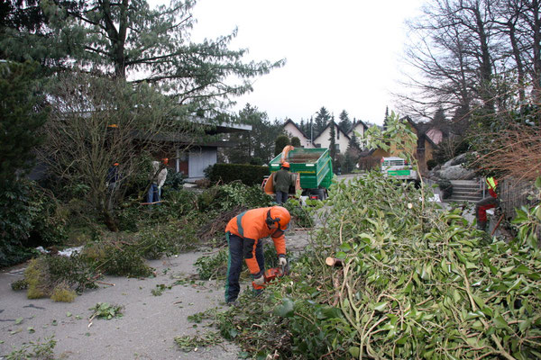 Aufräumarbeiten nach Sturmschäden Eberhard Gartenbau AG Kloten