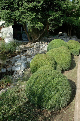 Eberhard_Gartenbau_AG, 8302 Kloten