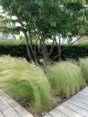 Eberhard Gartenbau Ag Kloten Gartenunterhalt 
