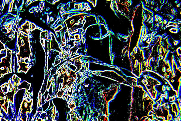 H 206