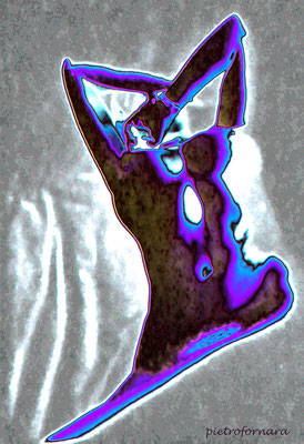 B 159