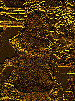 N 202