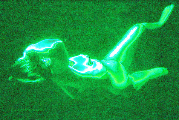 L 201
