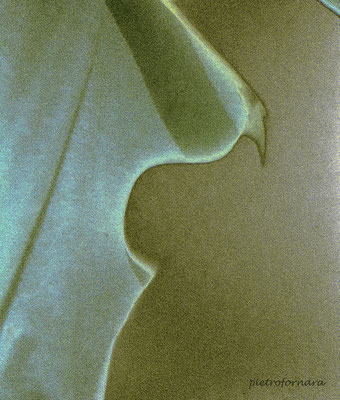 D 211