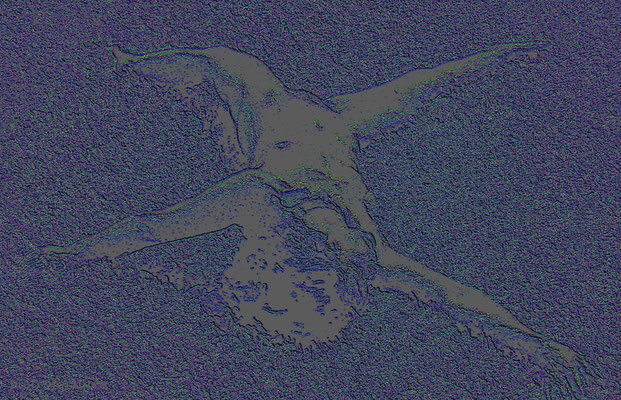 C 107