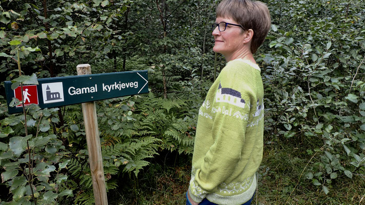 kvite kyrkjer Pullover - Dal