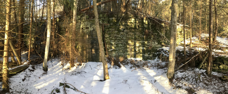 støttemyrer i skogen etter Tinnsjø koppermine