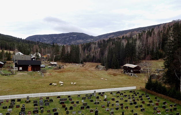 utsikt mot Tessungdalen fra Austbygde kirketårnet