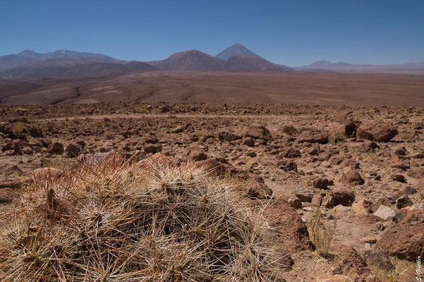 Unterwegs in der Atacama Wüste