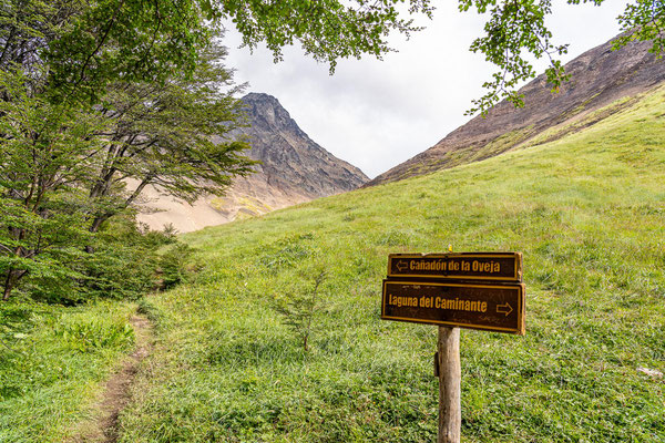 Laguna del Caminante, Feuerland