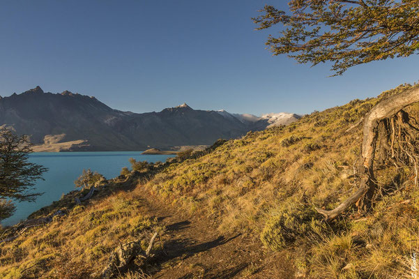 Lago Belgrano, Perito Moreno Nationalpark