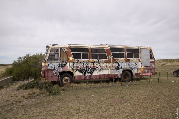 Hartgesottene können es sich in den alten Bussen gemütlich machen