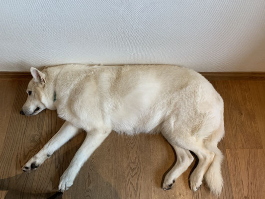 im Liegen sieht man das kleine Bäuchlein