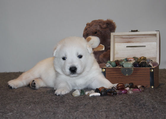 Onyx