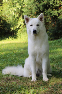 Nayeli