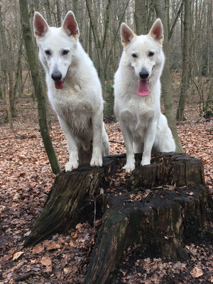 Milow & Milka