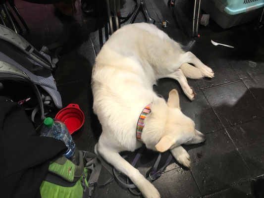 sie ist auch im größten Trubel entspannt