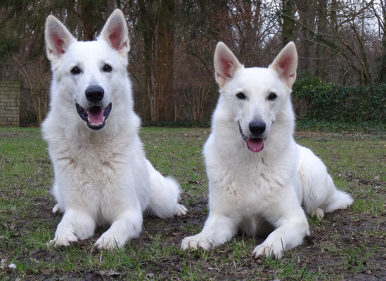 Nikan & Milka
