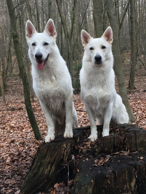 links steht der Bruder und rechts die Schwester