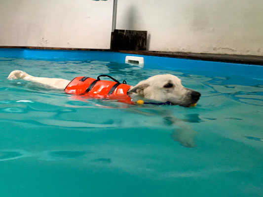 schwimmen, schwimmen, schwimmen :-)