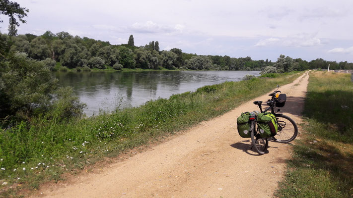 Der sandige Rhein Radweg