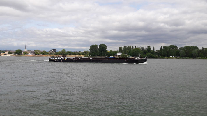 Am Rhein Ufer