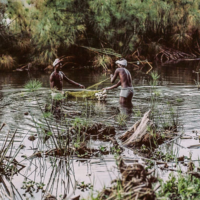 Lake Naivasha