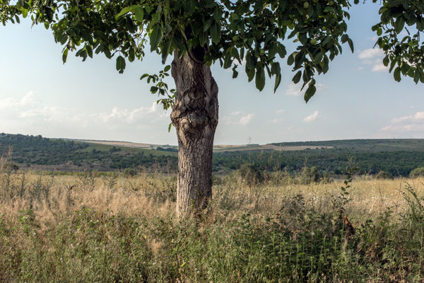 Moldova