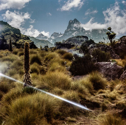 Mount Kenya national Park