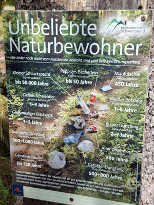 Infotafel über Müll im Wald