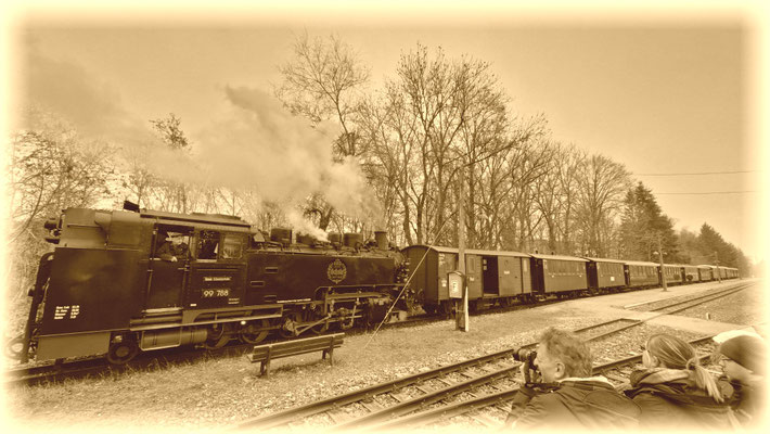 Historische Schmalspuhrbahn mit Dampflock.