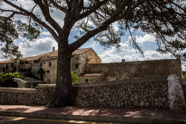 spain, about tree's and rock's