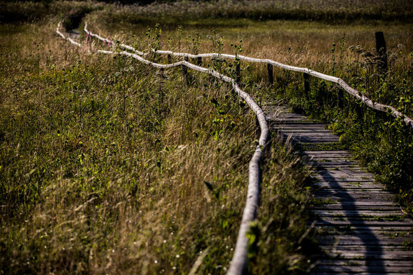 summer path