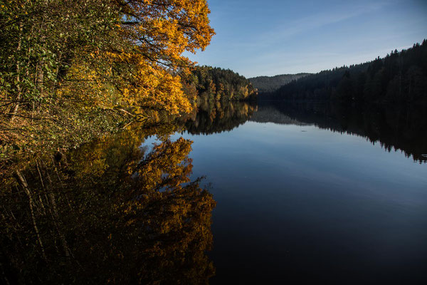 autumn mirror