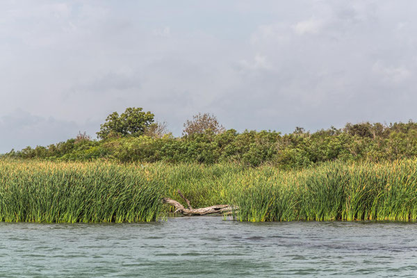 river sights