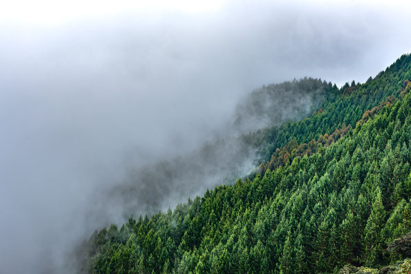 Vallée de Carbonera