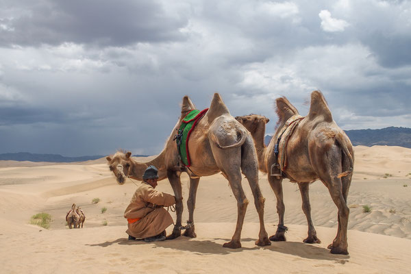 Dunes de Konghor (Désert de Gobi)