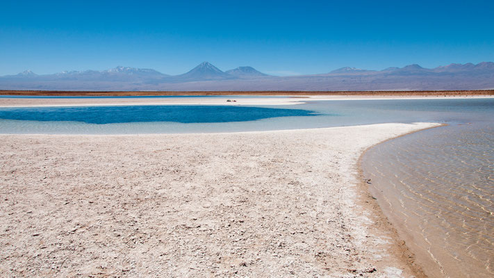 Laguna Cejar