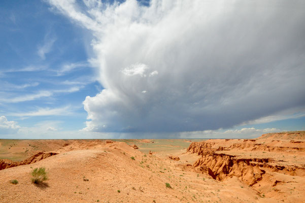 Falaises de Bayanzag (Désert de Gobi)