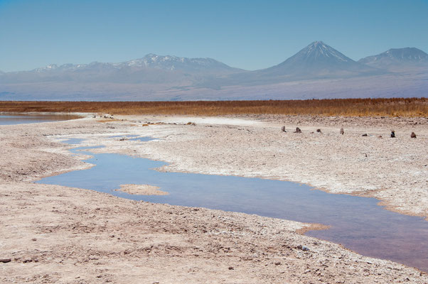 Laguna Cejar