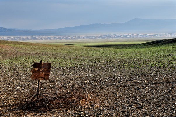 Dunes de Konghor (Désert de Gobi)