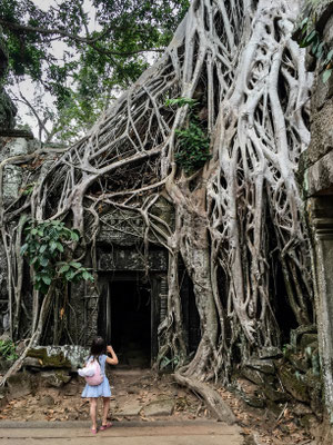 Ta Prohm - Angkor