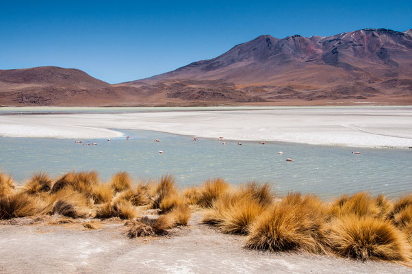 Laguna Hedionda