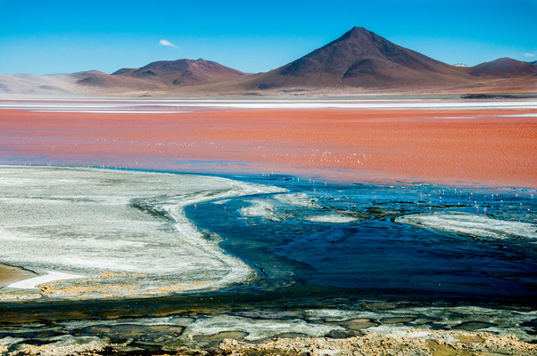 Laguna Colorada